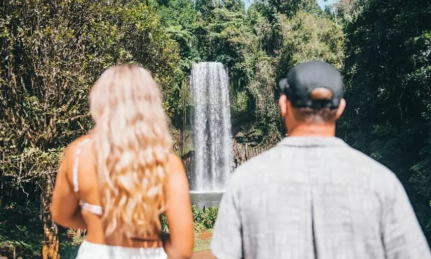 Image 1: Waterfalls and Rainforest Tour from Cairns