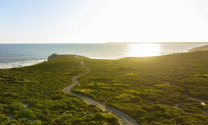 Image 4: Ultimate Buggy Tour in Kangaroo Island