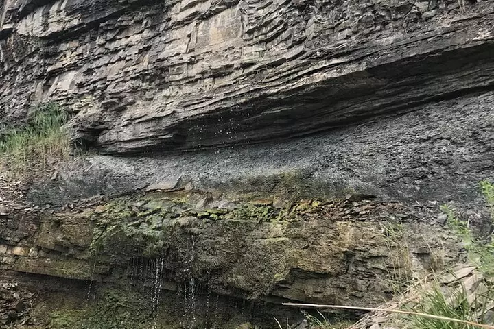Artpark Guided Tour with Hiking and Climbing Experience