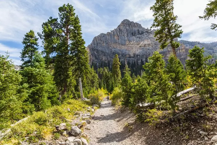 Mount Charleston Tour from Las Vegas