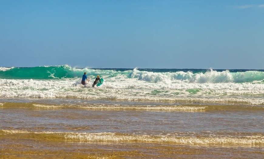 Image 5: Luxury Phillip Island Tour for Families & Explorers [up to 10Pax]