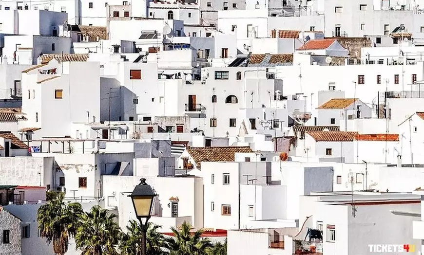 Image 1: Day trip privado a Arcos, Medina Sidonia y Vejer de la Frontera