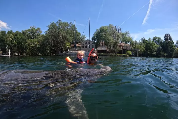 All-Inclusive Small Group Manatee Swim with Free Photos