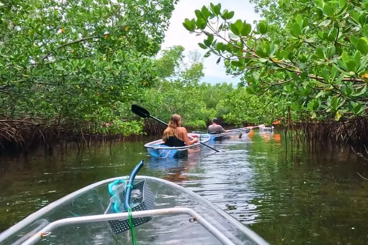 3-Hour Clear Kayak Beach Hopping Adventure in Sarasota