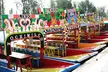 Xochimilco Canals Tour with Trajinera Ride & Local Guide - Second Medium