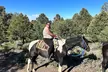 Sunset Horseback Ride With BBQ Dinner in Cool Mountain Las Vegas - Second Medium