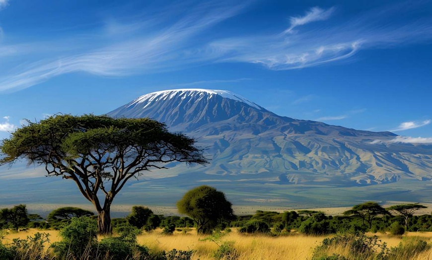 Image 9: ✈ TANZANIE | Du Kilimanjaro à Nairobi - Safaris en Afrique entre la...