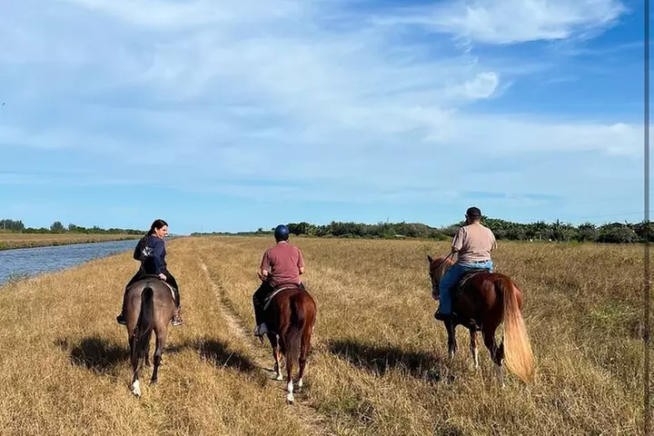 1 hour of ATV + 1 hour horse ride-- free videos and pictures