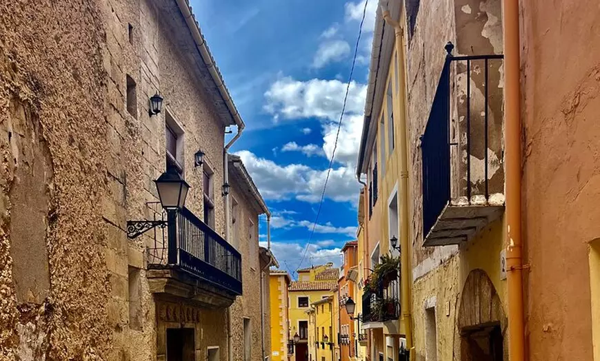 Image 5: Tu Tour Privado en Van Por La Costa Blanca
