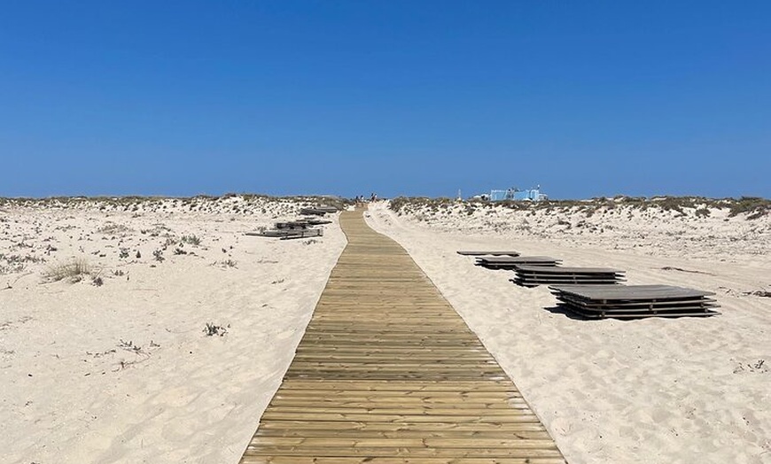 Image 7: Excursión de un Día a Jerez y Cadiz desde Sevilla