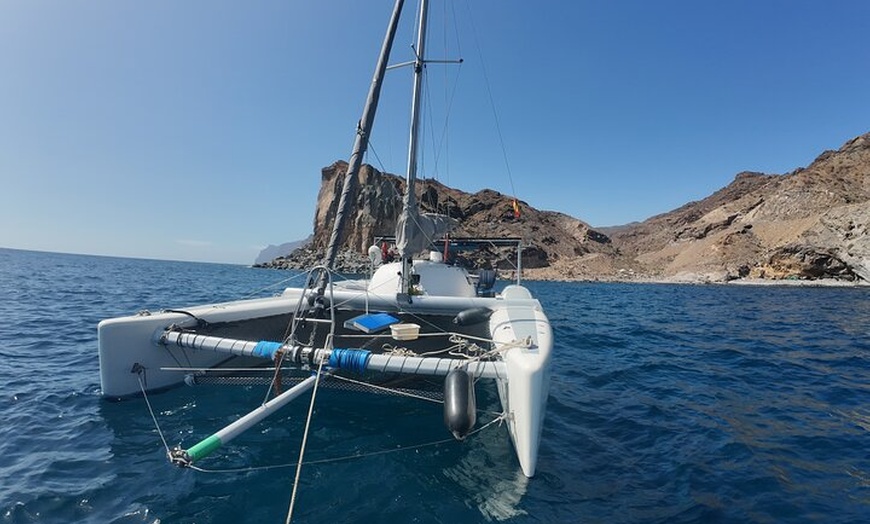 Image 19: Excursiones ecológicas en Catamarán en Gran Canaria
