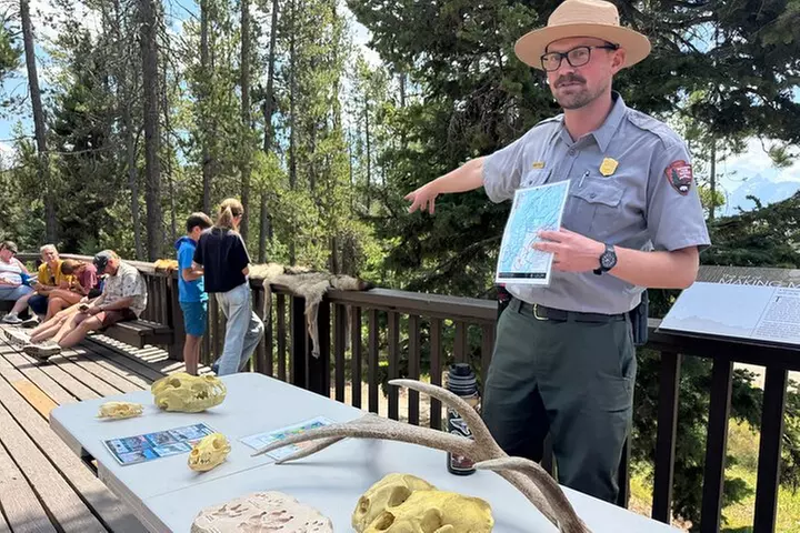 Teton & Yellowstone | Wildlife, Hot Springs, & Mountains PRIVATE