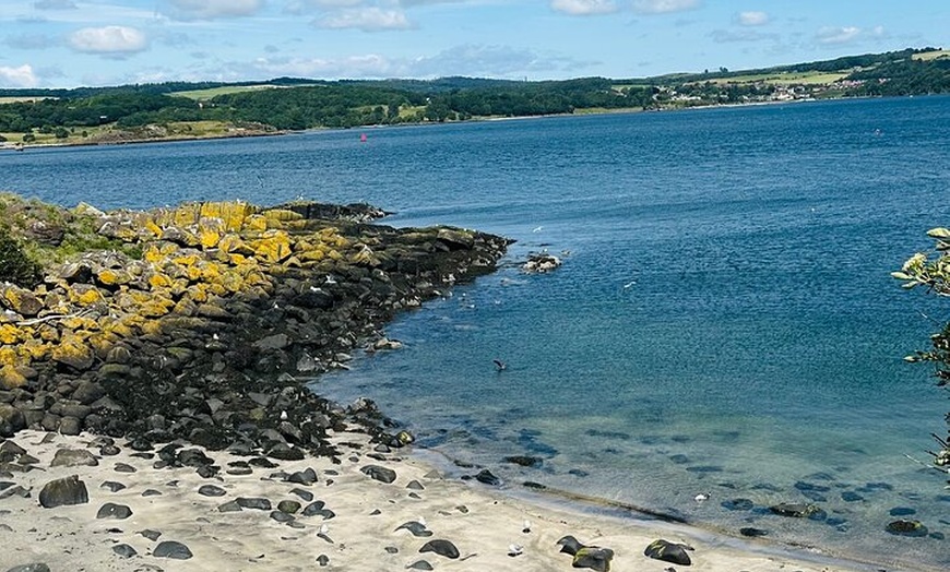 Image 27: Private Edinburgh Full Day Guided Tour in a Black Cab LEVC TX