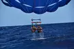 Hawaiian Parasail Since 1977 from Waikiki Beach - Second Medium
