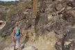 Phoenix South Mountain Hiking Tour Experience - Second Medium