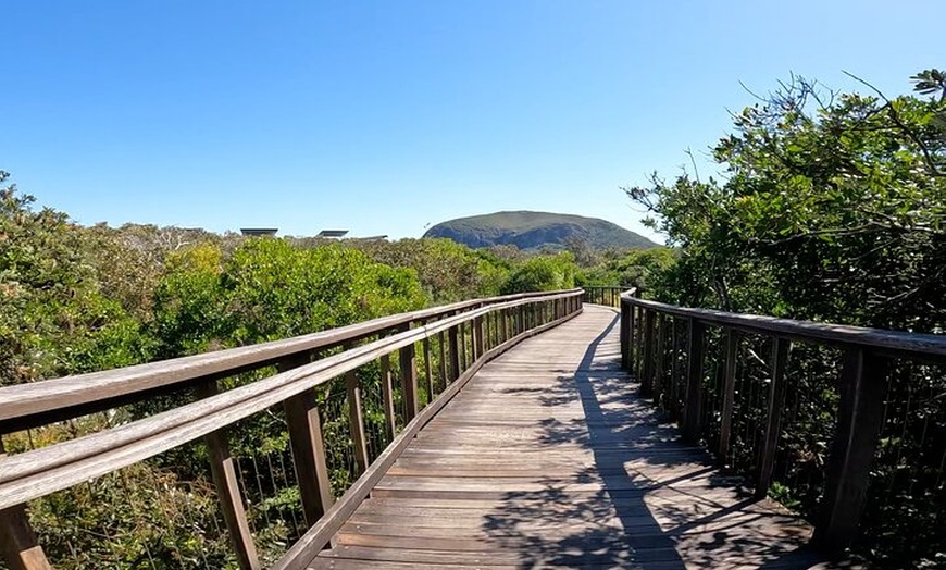 Image 5: Novotel North E-Bike Tour