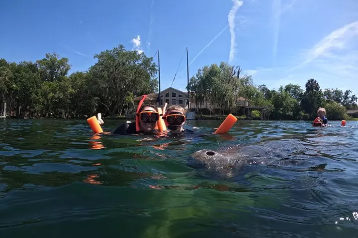 All-Inclusive Small Group Manatee Swim with Free Photos