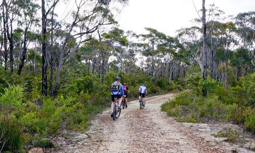 Image 4: Blue Mountains Electric Bike Tour with Transport