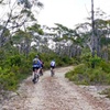 Image 4: Blue Mountains Electric Bike Tour with Transport