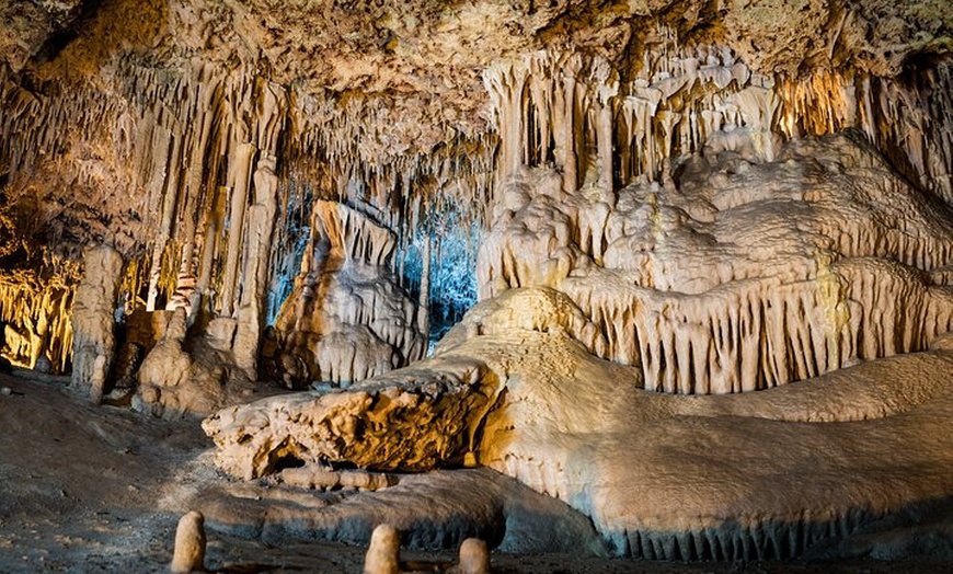 Image 5: Excursión de un día completo a las cuevas de Drach y Porto Cristo