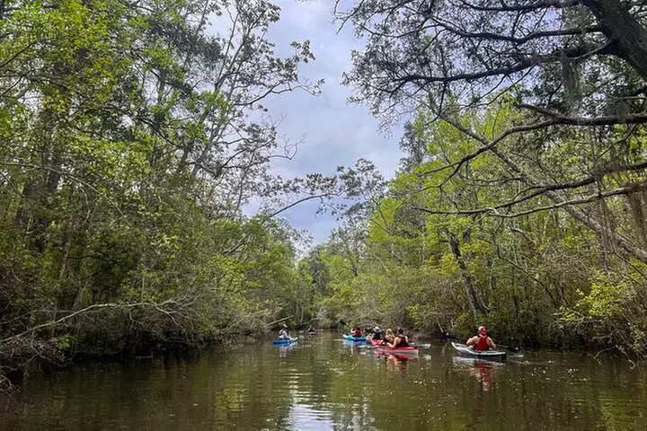 Yellow River Swamp Tour - Primary Image