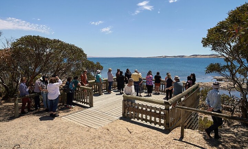 Image 6: 1 Day Aboriginal Cultural Tour of Port Lincoln