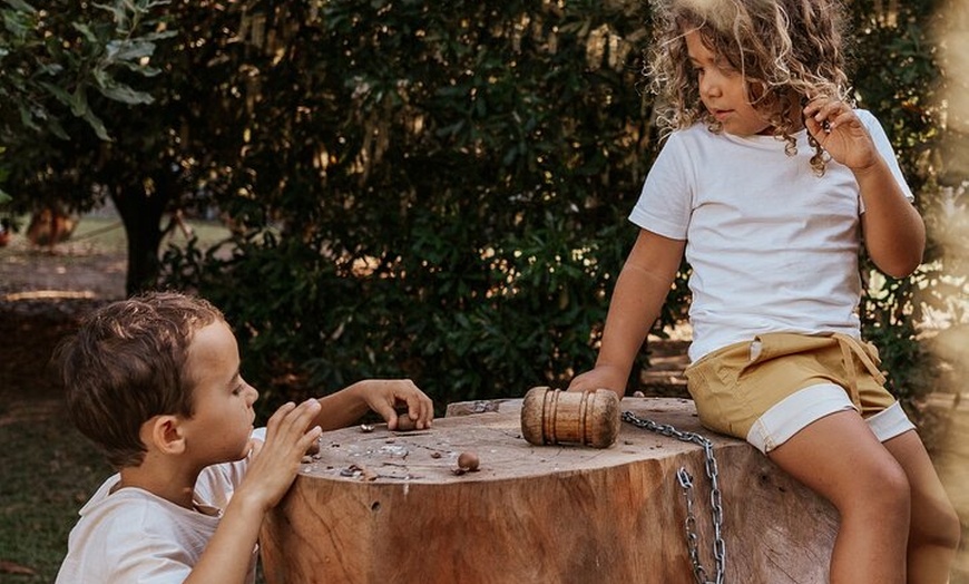 Image 6: Macadamias Australia Orchard Tour in Bundaberg