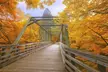 Fall Foliage Day Trip from Boston to the Mohawk Trail with Stops - Second Medium