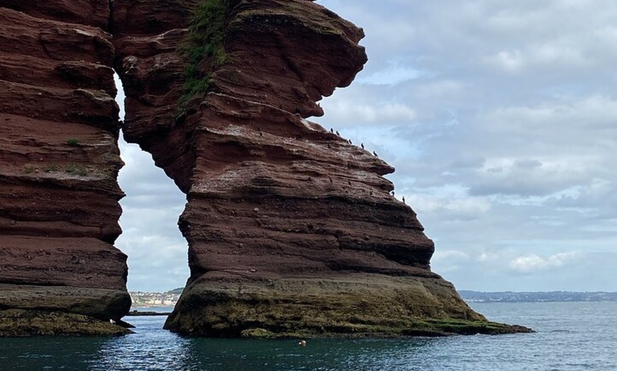 Image 11: Luxury Costal Rib Tour to Babbacombe Bay from Exmouth Marina