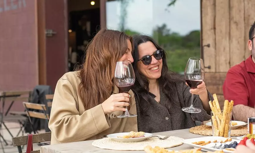 Image 5: Paseo entre viñas y cata de vinos en el Empordà