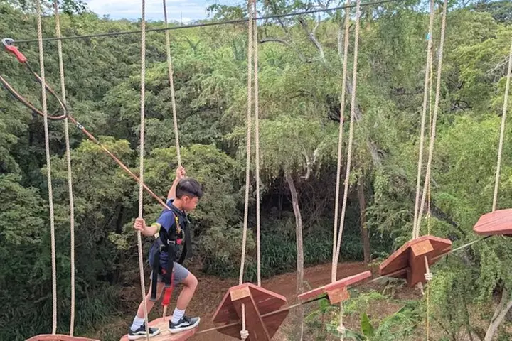 High Ropes Adventure Course at Coral Crater
