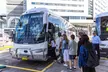 Sydney Airport Transfer to CBD with Lunch, The Rocks & Bondi Tour - Image 2