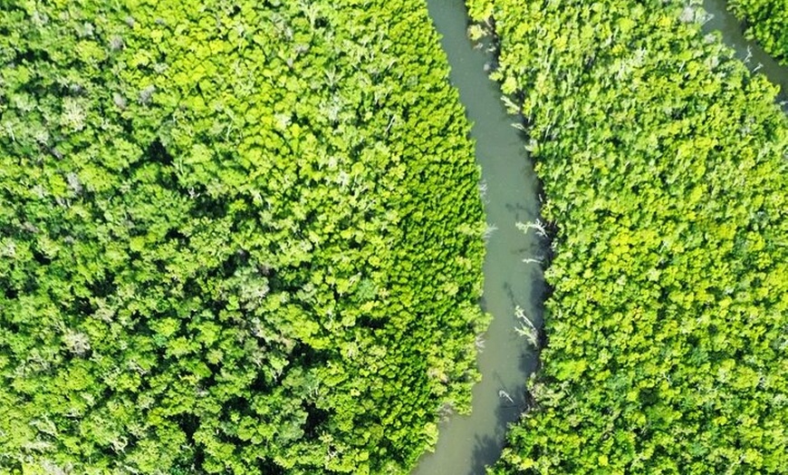 Image 8: Private Luxury Cape Tribulation Adventure and Crocodile Cruise