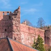 Image 9: Heidelberg Highlights Private Wanderung mit einem lokalen Guide
