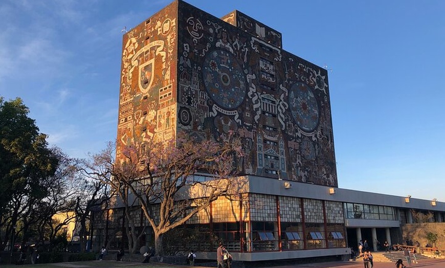 Image 5: Xochimilco floating gardens, Coyoacan and UNAM murals