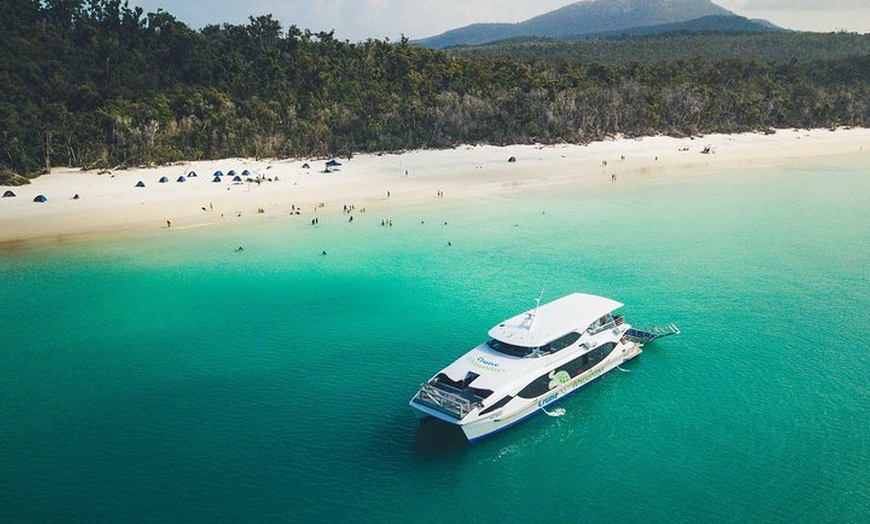 Image 8: Whitehaven Beach Morning or Afternoon Tour