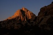 Half-Day Guided Hike in Joshua Tree National Park - Second Medium