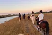 Horseback Riding in Miami - Second Medium