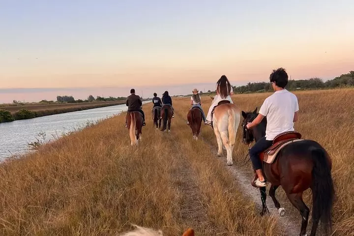 Horseback Riding in Miami