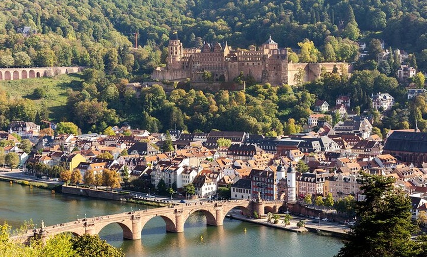 Image 5: Private Tagestour nach Heidelberg ab Frankfurt mit Schlossbesuch