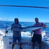 Image 7: Macaronesia Charter de Pesca en La Gomera (Islas Canarias)