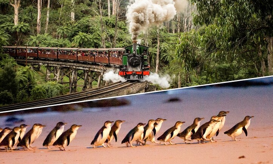 Image 2: Puffing Billy and Penguin Parade Day Tour From Melbourne