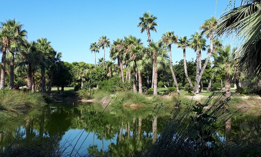 Image 3: Búsquedas autoguiadas de carroñeros en Alicante con 4 ubicaciones