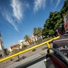 Image 17: Tour en autobús turístico por Santa Cruz de Tenerife