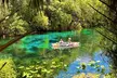 Silver Springs Jungle Kayaking and Paddleboarding - Second Medium