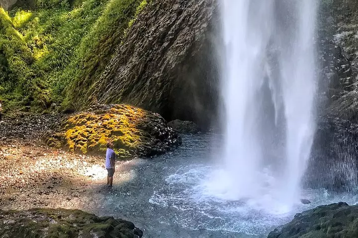 Multnomah Falls and Columbia River Gorge Half-Day Hiking Tour - Primary Image