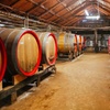 Image 6: Hunter Valley Winery - Premium Tasting for Private Tours