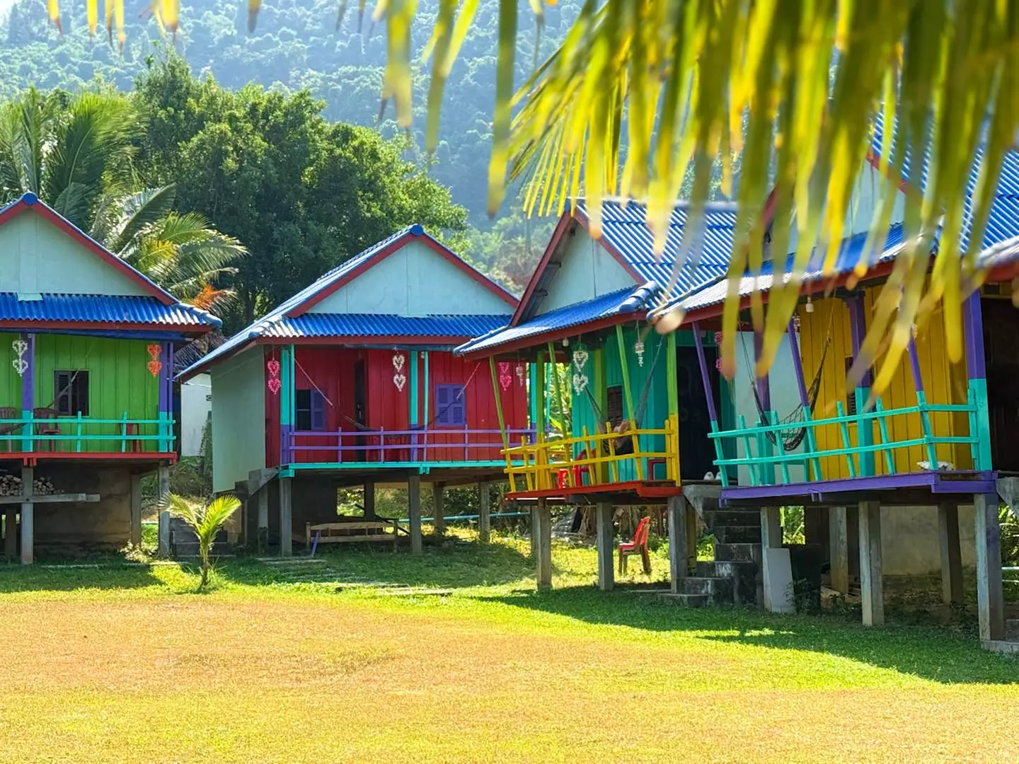 ✈ CAMBOGIA | Da Siem Reap a Phnom Penh - La Cambogia: tra patrimoni...