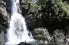 Private Tour El Yunque Rainforest swimming waterfall