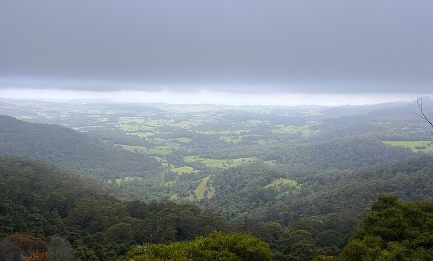 Image 32: Sydney South Coast and Highlands Private Tour